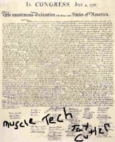 USA_declaration_of_independence.jpg