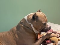 IMG_5495.jpeg