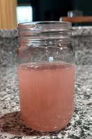 IMG_2545.jpeg