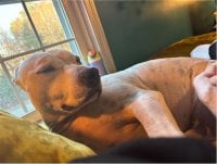 buddys-high.JPG