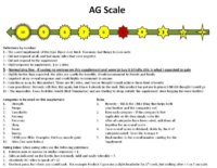 AG Scale (Custom).jpg