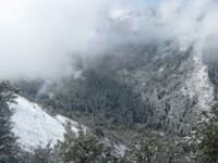 scene winter 1.jpg