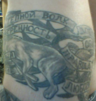 wolf_back.png