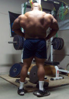 brute2.jpg