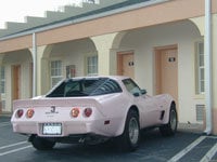 pink_vette_side.jpg