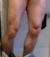 legs 3.jpg
