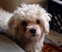 new tobey.jpg