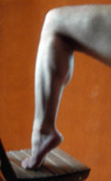 calf_208.jpg