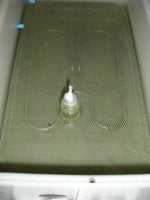 DSC00089.JPG