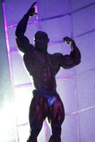 Arnold_Classic_2005_148.jpg