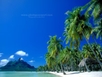 BoraBoraWallpaper_Large.jpg