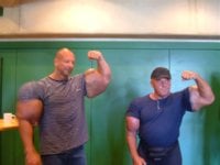 synthol1.jpg