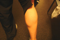calfMA10782967-0001.jpg