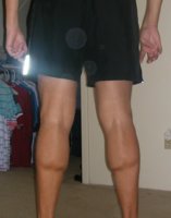 calves.JPG