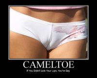 cameltoe.jpg