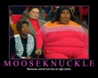 mooseknuckle1.jpg