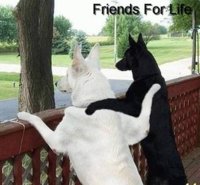 afriendsforlife2.jpg