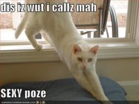 128295977416407500disizwutical.jpg