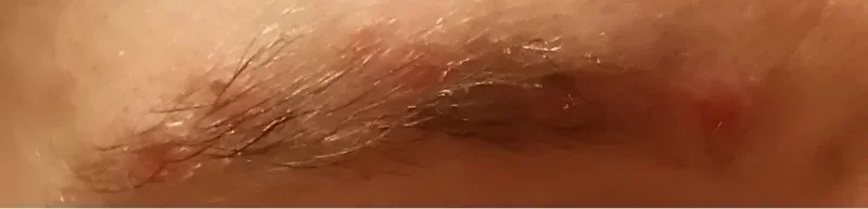 ögonbryn.webp ögonbryn.webp