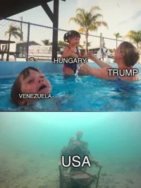 1775861332033.webp