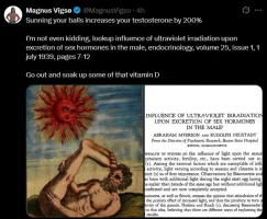 1776881405873.webp