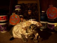 100_4821.JPG