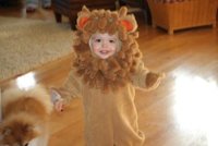 lucaslionsmall.jpg