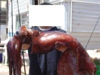 DSC03545 (Small)_noface.jpg