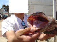 DSC03556 (Small)_noface.jpg