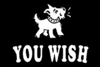 YOU WISH.jpg