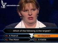Stupid (1).jpg