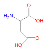 Aspartic_acid_stick_figure.jpg