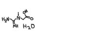 creatine monohydrate.jpg