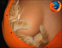 firefox_boobs_browser_stereotypes-s450x347-93961-535.jpg