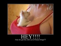 hey-520x390.jpg