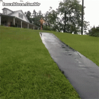 IMG_8363.gif