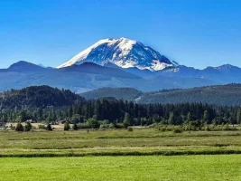 1781896359755.webp