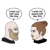 funny hair.webp