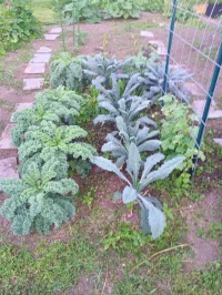 IMG_20260717_193720_102.webp