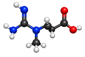 Creatine_Molecule.webp