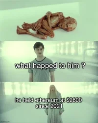 1790780440295.webp