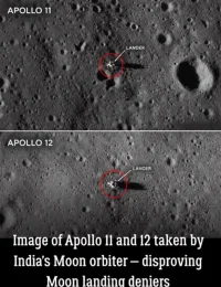 apollo India.webp