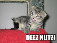 deez-nutz.jpg