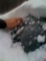 rsz_2img_1858.jpg