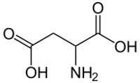 D'Aspartic Acid.jpg
