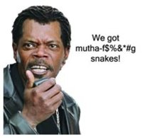 snakes1.jpg
