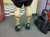 calves.jpg