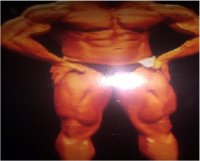 aminds2.jpg