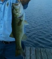 Lake Ned 5-10-11-sz 14.jpg