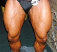 leg.jpg